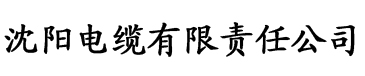 门卫老秦包义付筱竹电缆厂logo